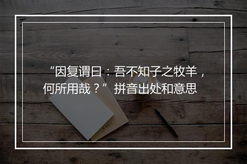 “因复谓曰：吾不知子之牧羊，何所用哉？”拼音出处和意思