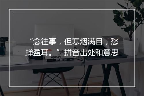 “念往事，但寒烟满目，愁蝉盈耳。”拼音出处和意思