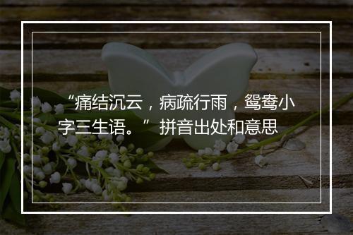 “痛结沉云，病疏行雨，鸳鸯小字三生语。”拼音出处和意思