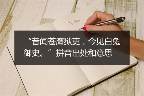 “昔闻苍鹰狱吏，今见白兔御史。”拼音出处和意思