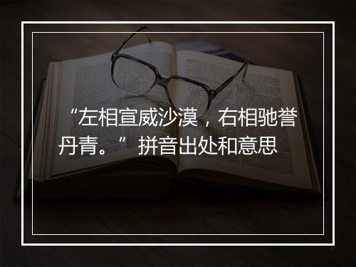 “左相宣威沙漠，右相驰誉丹青。”拼音出处和意思