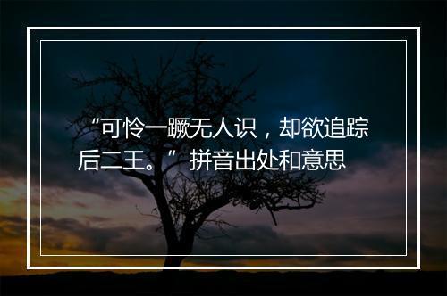 “可怜一蹶无人识，却欲追踪后二王。”拼音出处和意思