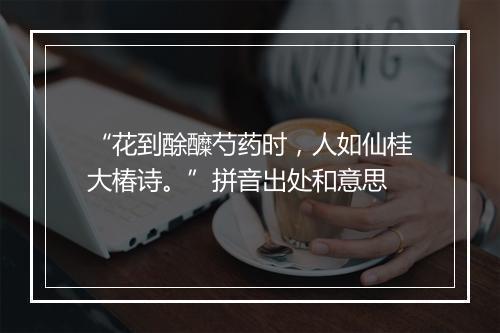 “花到酴醾芍药时，人如仙桂大椿诗。”拼音出处和意思