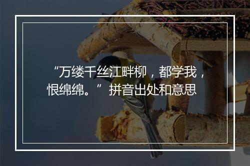 “万缕千丝江畔柳，都学我，恨绵绵。”拼音出处和意思