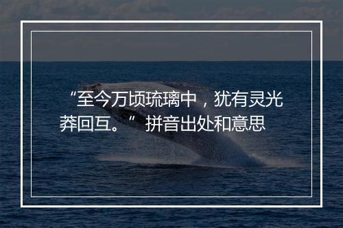 “至今万顷琉璃中，犹有灵光莽回互。”拼音出处和意思