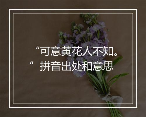 “可意黄花人不知。”拼音出处和意思