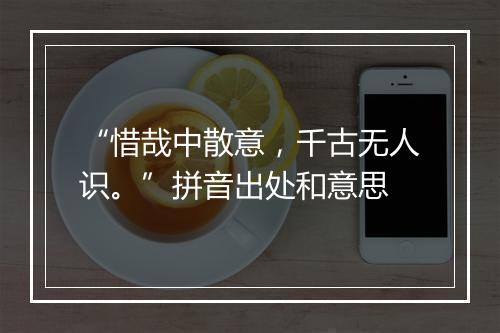 “惜哉中散意，千古无人识。”拼音出处和意思