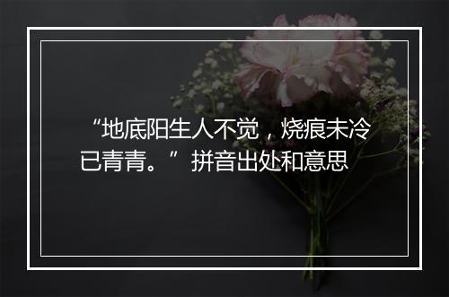 “地底阳生人不觉，烧痕未冷已青青。”拼音出处和意思