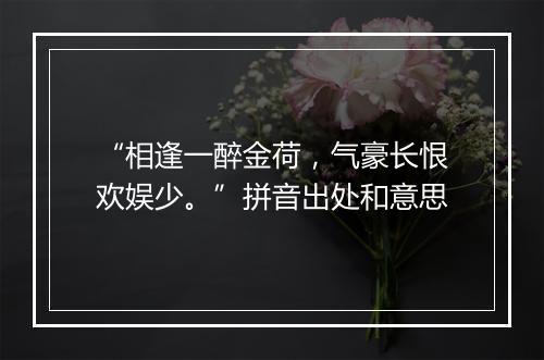 “相逢一醉金荷，气豪长恨欢娱少。”拼音出处和意思