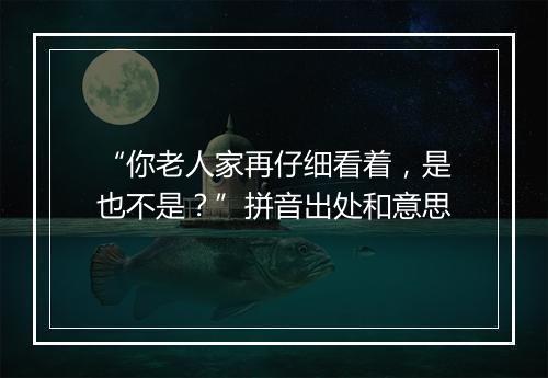 “你老人家再仔细看着，是也不是？”拼音出处和意思