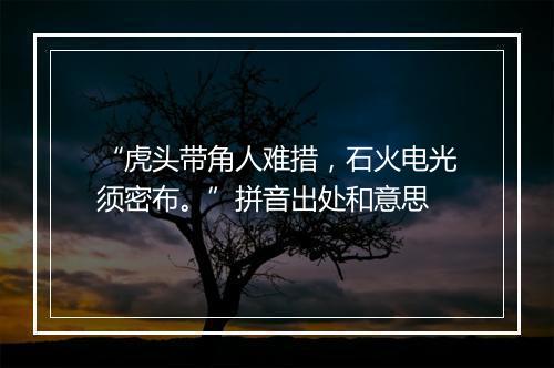 “虎头带角人难措，石火电光须密布。”拼音出处和意思