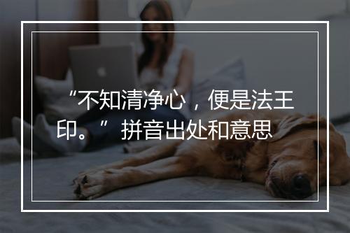 “不知清净心，便是法王印。”拼音出处和意思