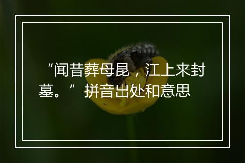 “闻昔葬母昆，江上来封墓。”拼音出处和意思