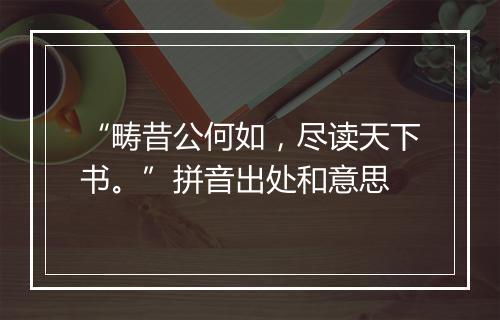 “畴昔公何如，尽读天下书。”拼音出处和意思