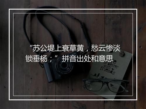 “苏公堤上衰草黄，愁云惨淡锁垂杨；”拼音出处和意思