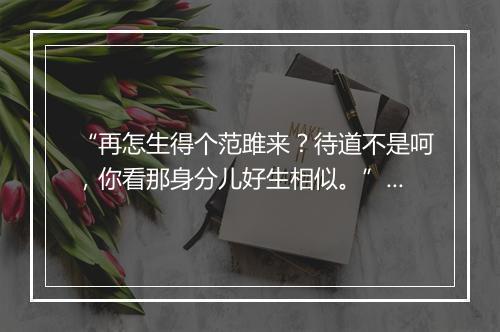 “再怎生得个范雎来？待道不是呵，你看那身分儿好生相似。”拼音出处和意思