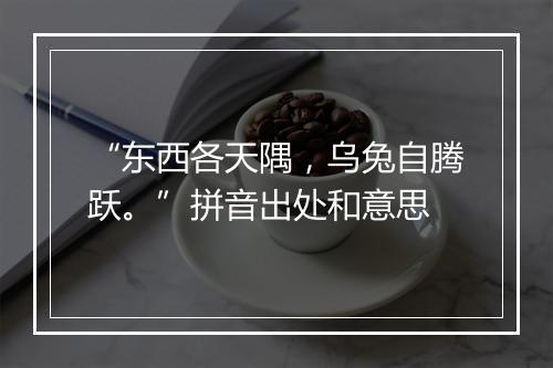 “东西各天隅，乌兔自腾跃。”拼音出处和意思