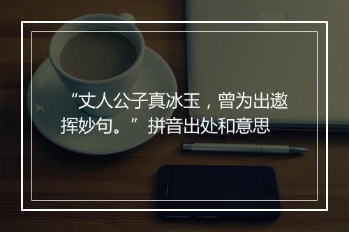 “丈人公子真冰玉，曾为出遨挥妙句。”拼音出处和意思