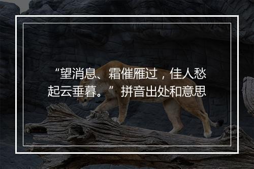 “望消息、霜催雁过，佳人愁起云垂暮。”拼音出处和意思