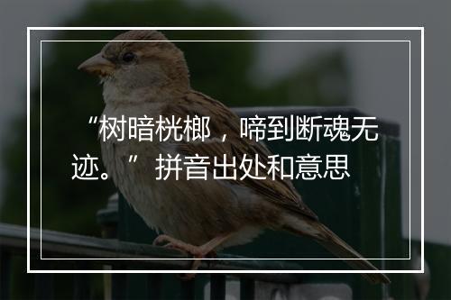 “树暗桄榔，啼到断魂无迹。”拼音出处和意思