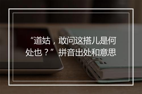 “道姑，敢问这搭儿是何处也？”拼音出处和意思