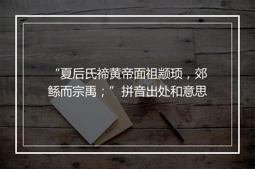 “夏后氏禘黄帝面祖颛顼，郊鲧而宗禹；”拼音出处和意思