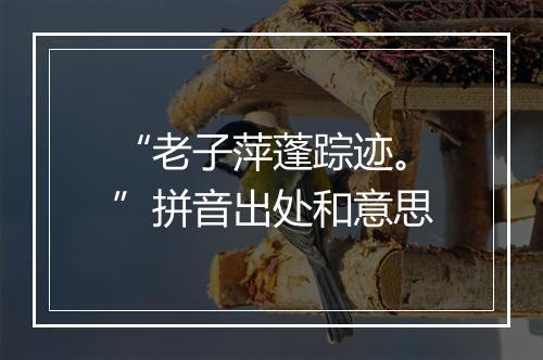 “老子萍蓬踪迹。”拼音出处和意思