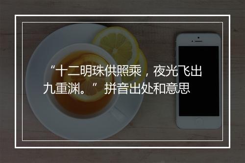 “十二明珠供照乘，夜光飞出九重渊。”拼音出处和意思