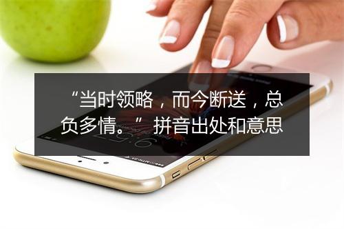 “当时领略，而今断送，总负多情。”拼音出处和意思