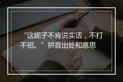 “这妮子不肯说实话，不打不招。”拼音出处和意思