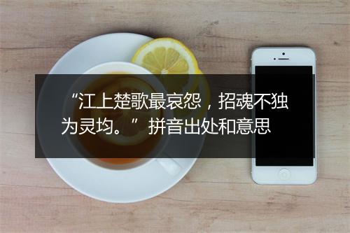 “江上楚歌最哀怨，招魂不独为灵均。”拼音出处和意思