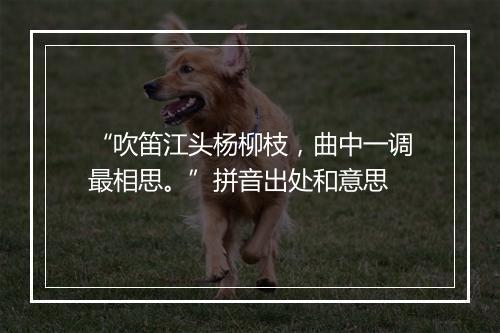 “吹笛江头杨柳枝，曲中一调最相思。”拼音出处和意思