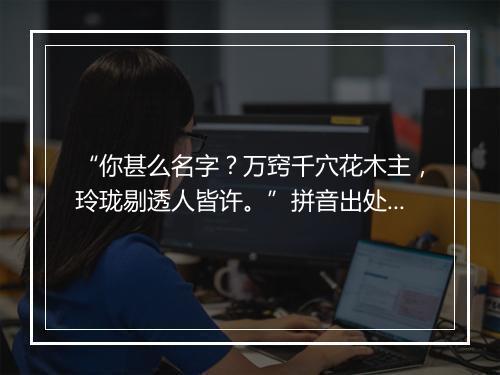 “你甚么名字？万窍千穴花木主，玲珑剔透人皆许。”拼音出处和意思