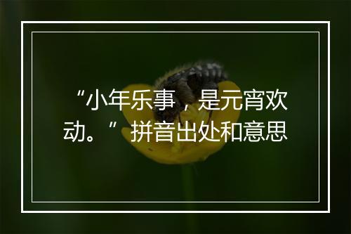 “小年乐事，是元宵欢动。”拼音出处和意思