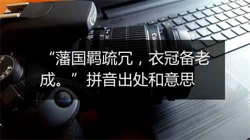 “藩国羁疏冗，衣冠备老成。”拼音出处和意思