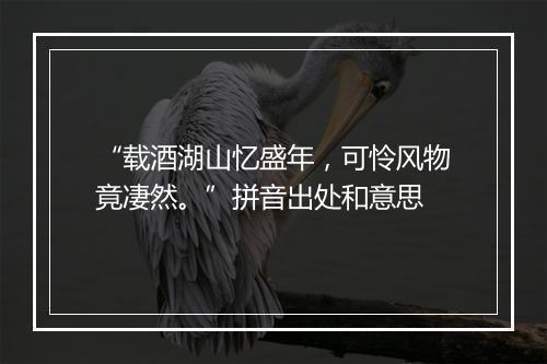 “载酒湖山忆盛年，可怜风物竟凄然。”拼音出处和意思