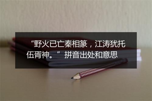 “野火已亡秦相篆，江涛犹托伍胥神。”拼音出处和意思