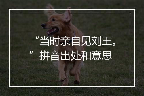 “当时亲自见刘王。”拼音出处和意思