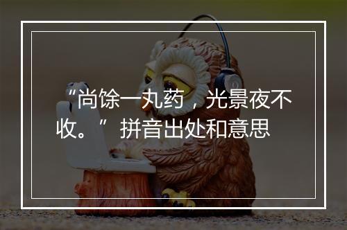 “尚馀一丸药，光景夜不收。”拼音出处和意思