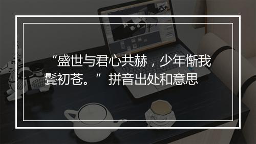 “盛世与君心共赫，少年惭我鬓初苍。”拼音出处和意思