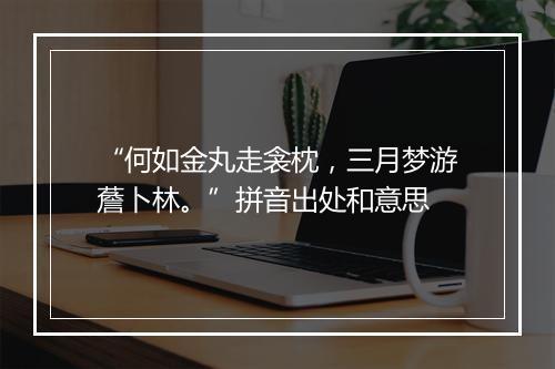 “何如金丸走衾枕，三月梦游薝卜林。”拼音出处和意思