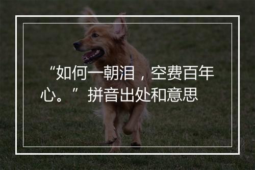 “如何一朝泪，空费百年心。”拼音出处和意思