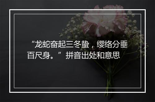 “龙蛇奋起三冬蛰，缨络分垂百尺身。”拼音出处和意思