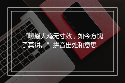 “畴曩犬鸡无寸效，如今方愧子真耕。”拼音出处和意思