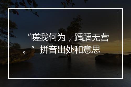 “嗟我何为，踽踽无营。”拼音出处和意思