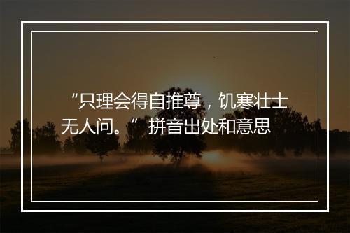 “只理会得自推尊，饥寒壮士无人问。”拼音出处和意思