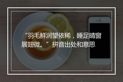 “羽毛鲜润望依稀，睡足晴窗展翅微。”拼音出处和意思