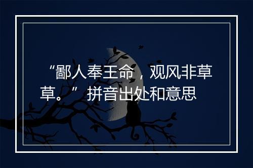 “鄙人奉王命，观风非草草。”拼音出处和意思