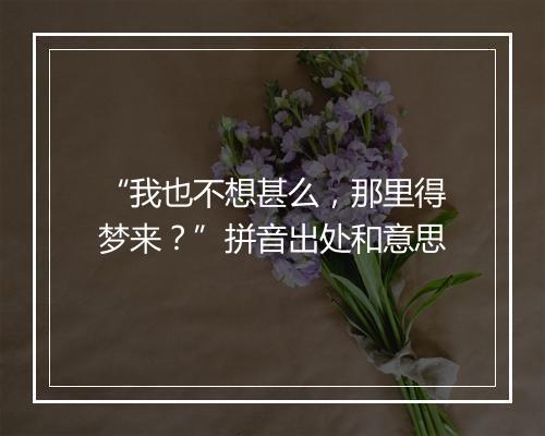 “我也不想甚么，那里得梦来？”拼音出处和意思