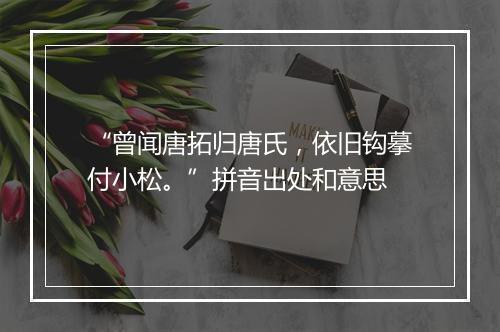 “曾闻唐拓归唐氏，依旧钩摹付小松。”拼音出处和意思